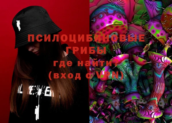 PSILOCYBIN Алзамай