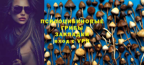 PSILOCYBIN Алзамай