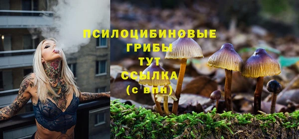 спиды Краснослободск