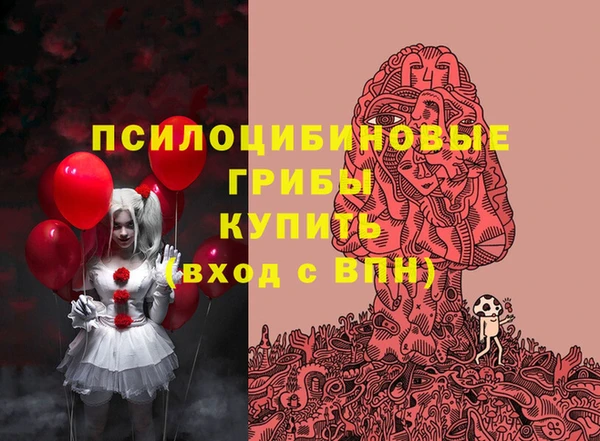 спиды Краснослободск