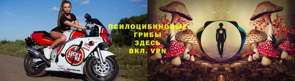 мескалин Алексин